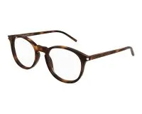 Tortoise 002