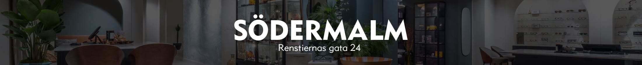 Synundersökning Södermalm