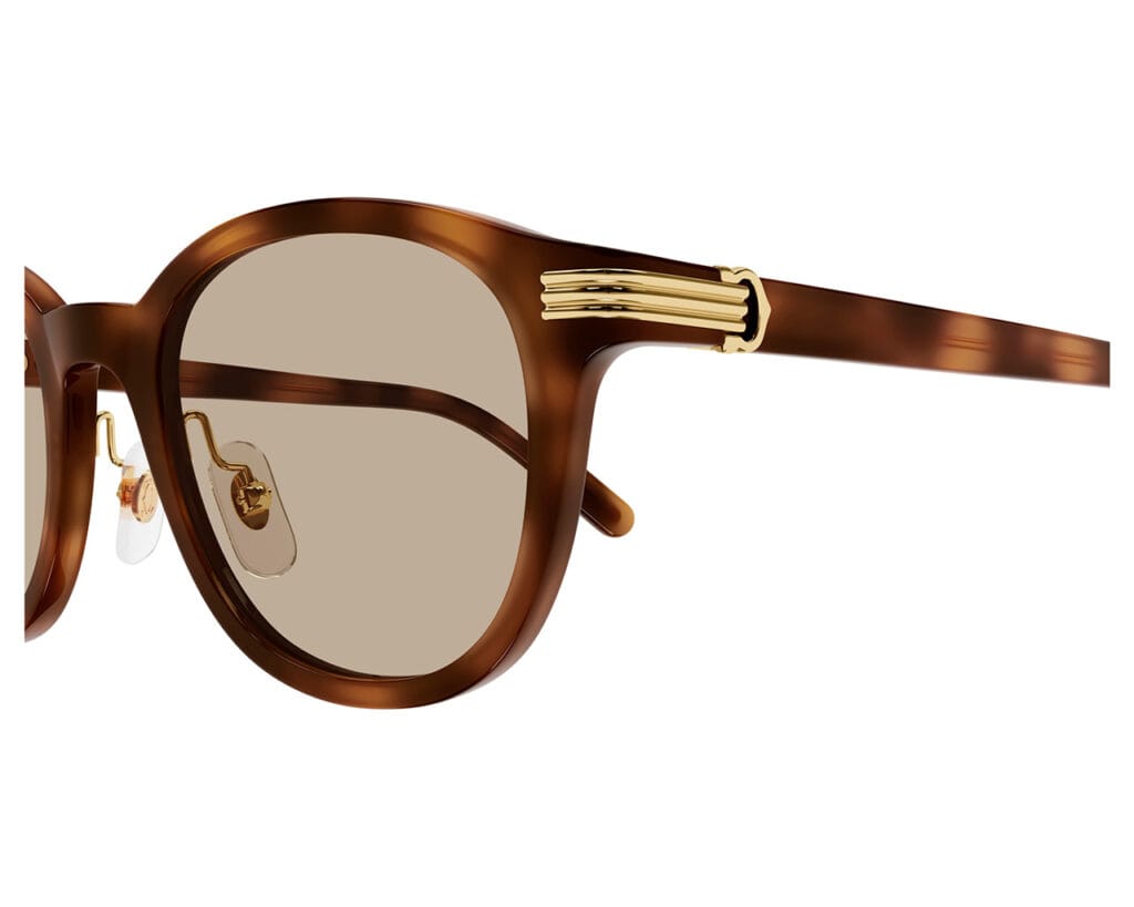 Cartier-CT0302S-012-zoom-xxl-solglasögon