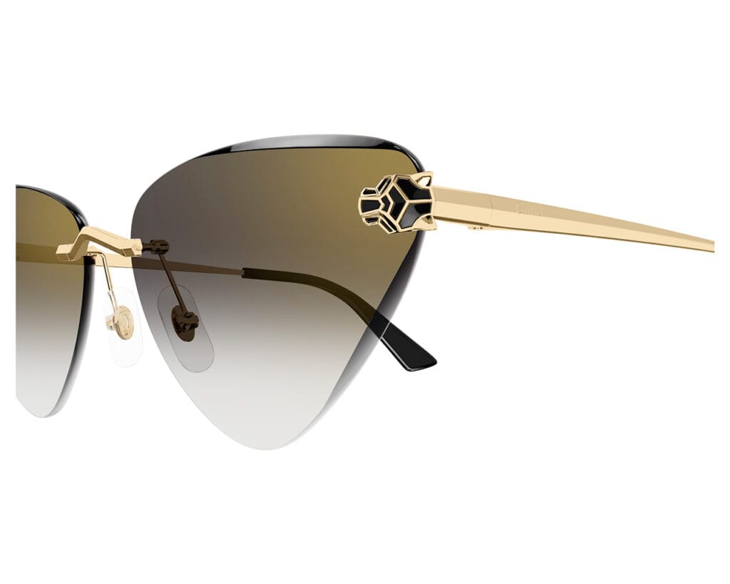Cartier-CT0399S-001-zoom-xxl-solglasögon