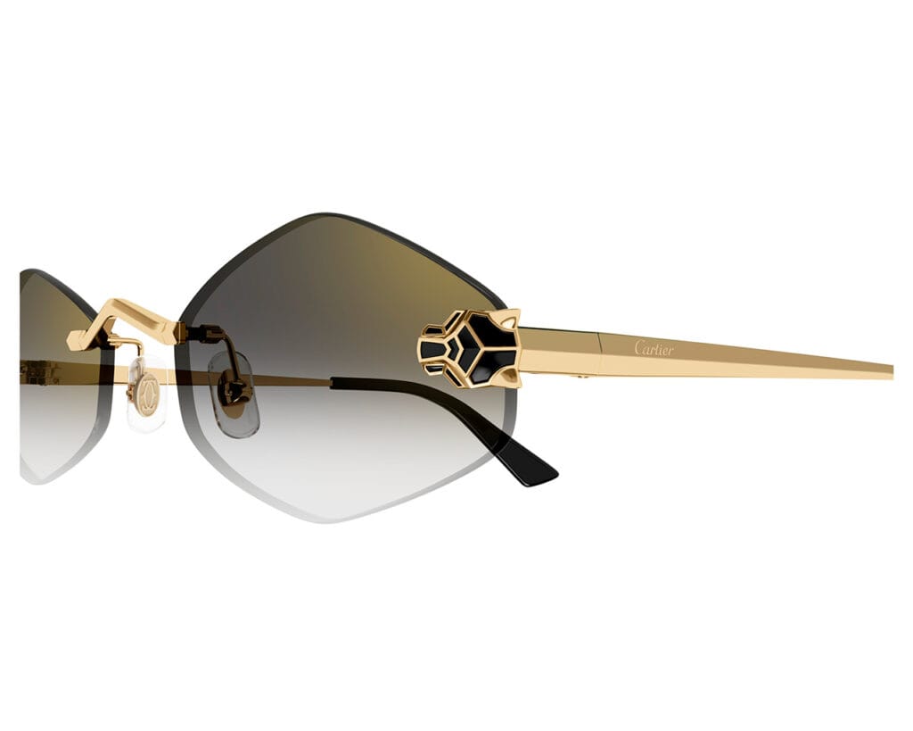 Cartier-CT0433S-001-zoom-xxl-solglasögon