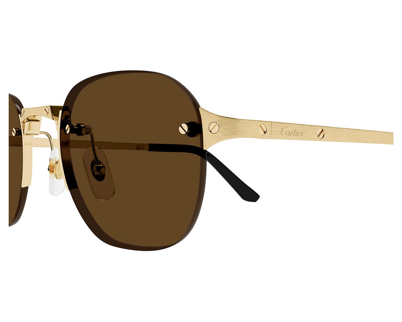 Cartier-CT0459S-002-zoom-xxl-solglasögon