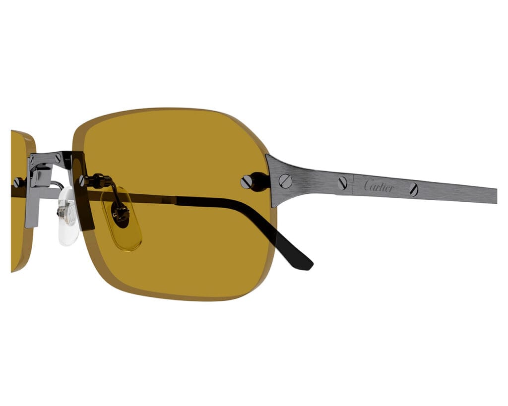Cartier-CT0460S-004-zoom-xxl-solglasögon