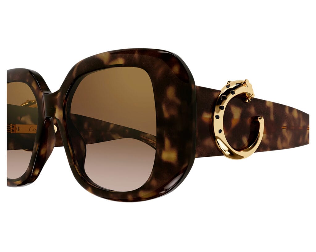 Cartier-CT0471S-002-zoom-xxl-solglasögon