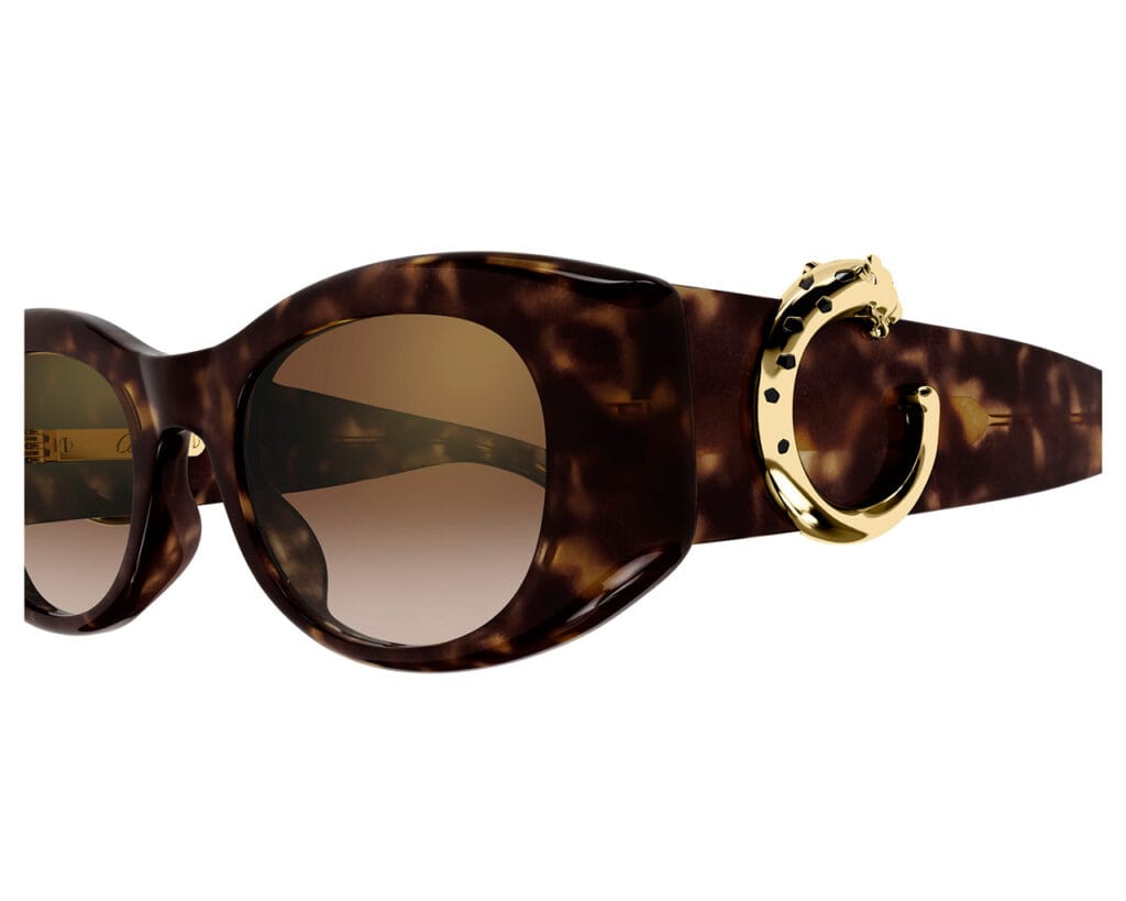 Cartier-CT0472S-002-zoom-xxl-solglasögon