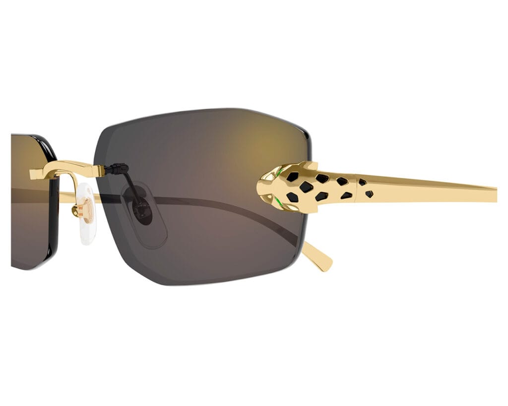 Cartier-CT0474S-001-zoom-xxl-solglasögon