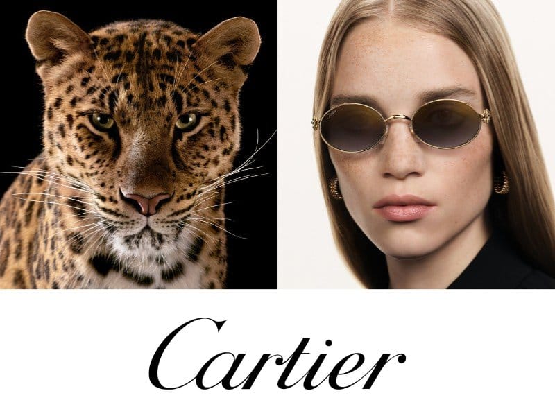 Cartier solglasögon_glasögon 800x600
