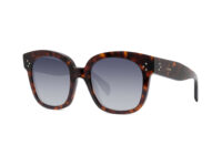 Shiny Havana Polarized